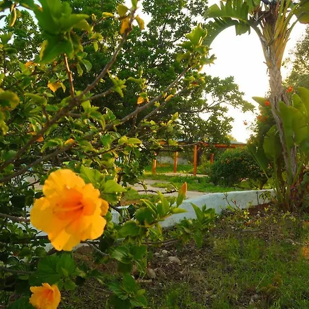 Hébergement de vacances Bela Vista Retreat Wellness & Yoga Olhão