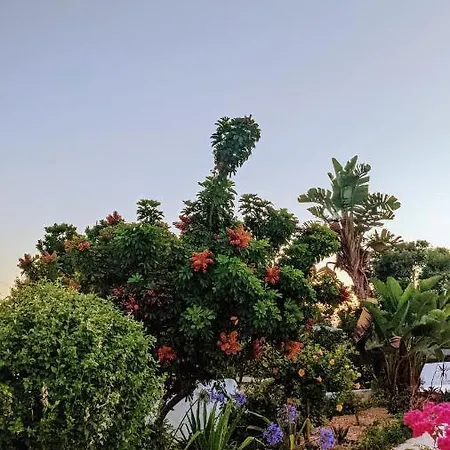 Hébergement de vacances Bela Vista Retreat Wellness & Yoga *