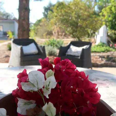 Bela Vista Retreat Wellness & Yoga Hébergement de vacances