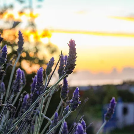 Bela Vista Retreat Wellness & Yoga 오양