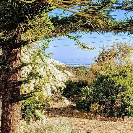 Tatil Evi Bela Vista Retreat Wellness & Yoga Olhão