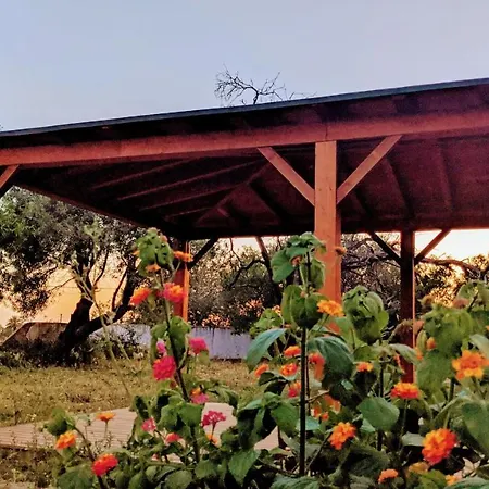 Bela Vista Retreat Wellness & Yoga Tatil Evi