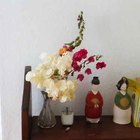 Bela Vista Retreat Wellness & Yoga *