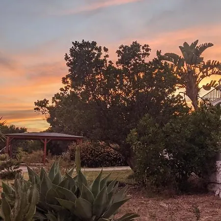 Tatil Evi Bela Vista Retreat Wellness & Yoga Olhão
