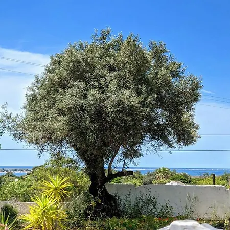 Bela Vista Retreat Wellness & Yoga Tatil Evi Olhão