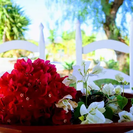 Tatil Evi Bela Vista Retreat Wellness & Yoga